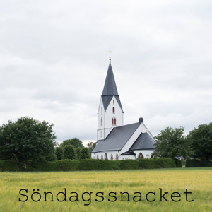 Söndagssnacket