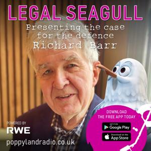 Legal Seagull