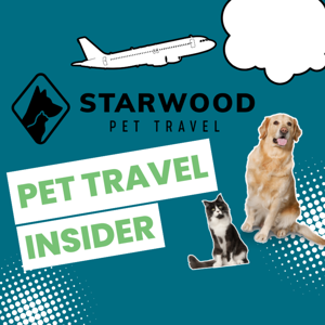 Pet Travel Insider