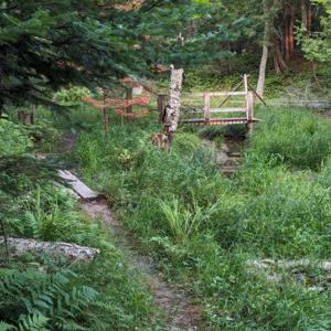 Forged Footing: A Field Guide for Navigating Life’s Trail with Purpose, Integrity, and Perspective.