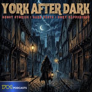 York After Dark