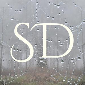 Spindeldis