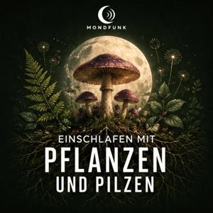 Einschlafen mit Pflanzen und Pilzen