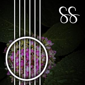 Steady Strings