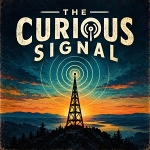 The Curious Signal