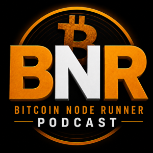 Bitcoin Node Runner