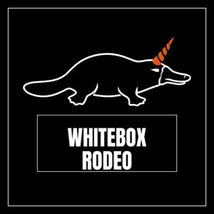 White Box Rodeo