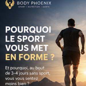 BodyPhoenix