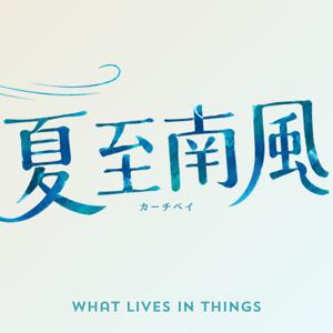 夏至南風(カーチベイ)