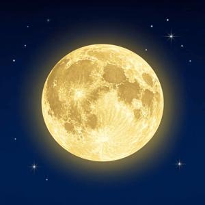 Moon Phases Explained: How the Moon Changes Throughout the Month