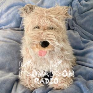 Kona Kom Radio