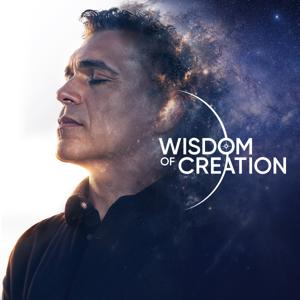 Wisdom of Creation