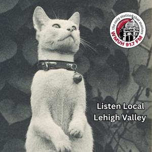 Listen Local Lehigh Valley