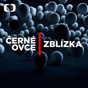 Černé ovce zblízka