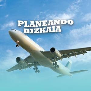 Planeando Bizkaia: planes en Bilbao y Bizkaia