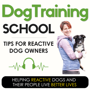 Dog Training School: Tips for Reactive Dog Owners
