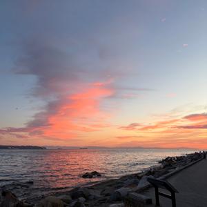 Softly Guided: Meditations & Manifestation