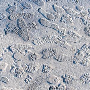 Cold Trail
