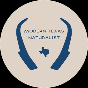 Modern Texas Naturalist