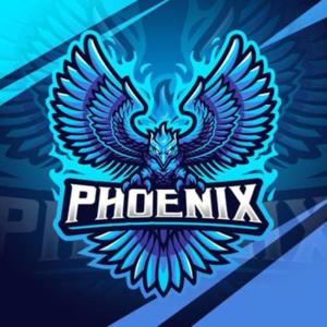 Phoenix Ministries Podcast