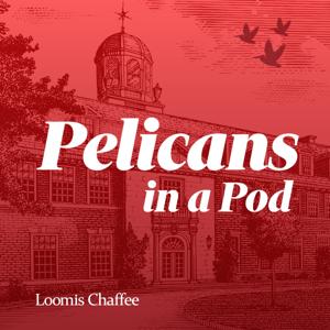 Pelicans in a Pod