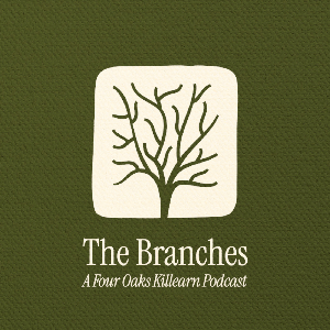 The Branches