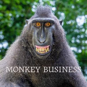 Monkey Business