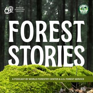 Forest Stories