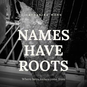 Names Have Roots