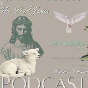 Pursuing the Path of Purity Podcast