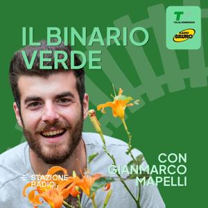 Il binario verde