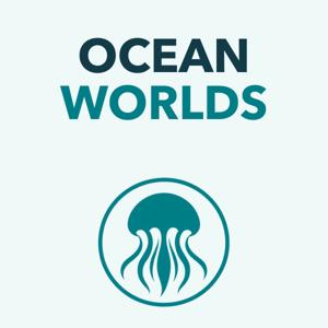 Ocean Worlds