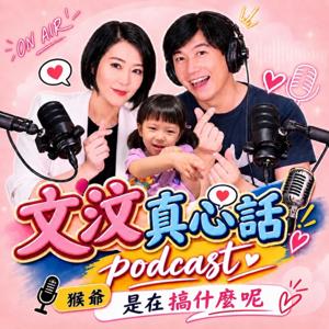 文汶真心話