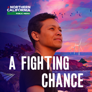 A Fighting Chance