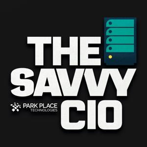 The Savvy CIO