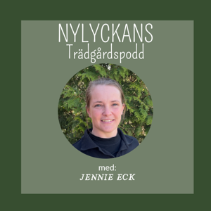Nylyckans Trädgårdspodd med Jennie Eck