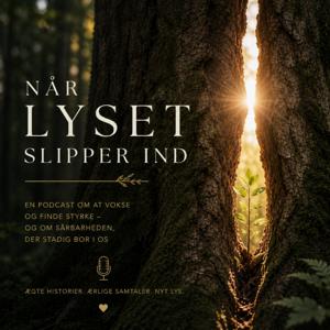 Når lyset slipper ind