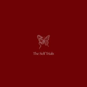 TheSelfTrials's Podcast