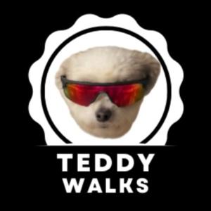 Teddy Walks
