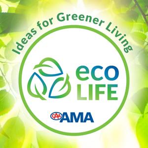 EcoLife