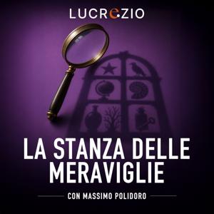La stanza delle meraviglie
