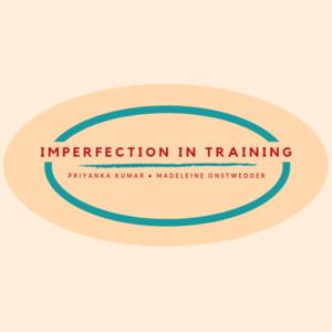 Imperfection In Training