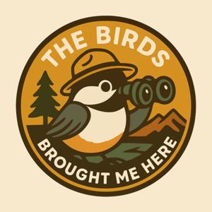 The Birds Brought Me Here