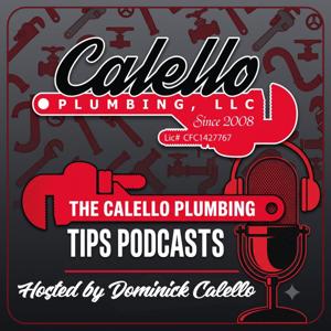 Calello  Plumbing Tips Tarpon Springs