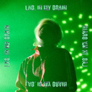 Lab.in my brain