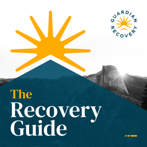The Recovery Guide