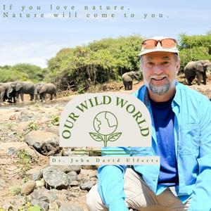 Our Wild World