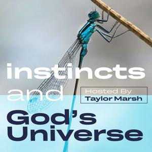 Instincts and God's Universe