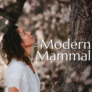 The Modern Mammal