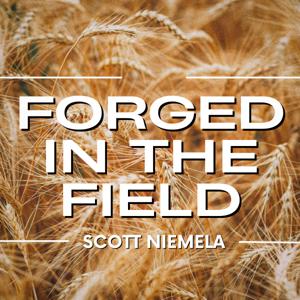 Forged in the Field